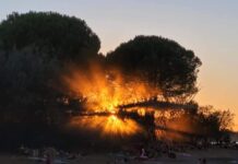 Waking Life: Diese Acts treten in der Idylle Portugals auf