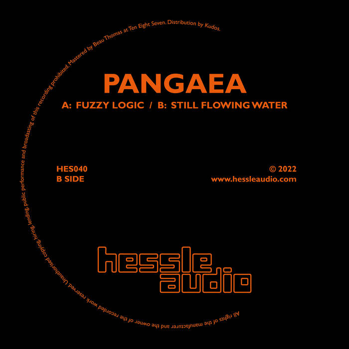 Pangaea – Fuzzy Logic (Hessle Audio)
