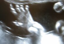 Traumprinz: Neuer Mix „life” veröffentlicht Cover von „life" (Quelle: Soundcloud planet uterus)