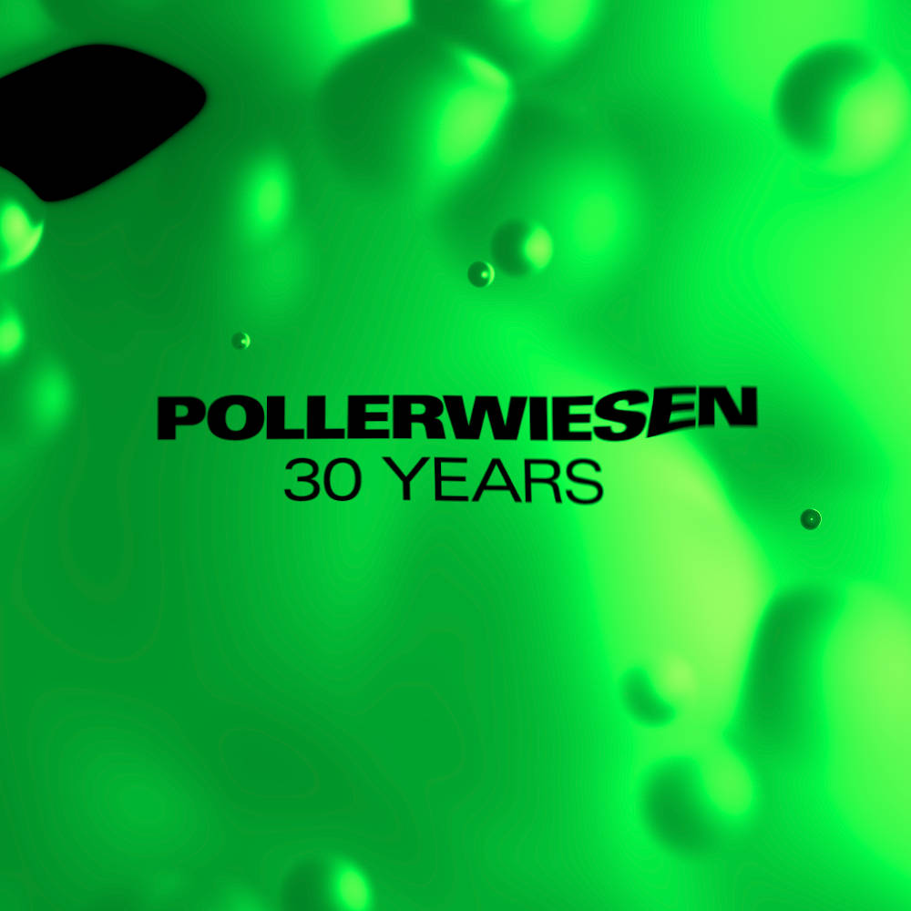 Pollerwiesen 30 Years Flyer