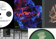 Die Platten der Woche mit Binary Digit, Kin Teal, Mad Honey, Sha Ru und The Black Dog