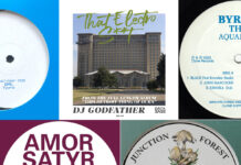 Die Platten der Woche mit Amor Satyr, S.O.N.S, Byron The Aquarius, DJ Godfather und DYL