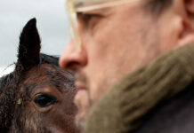 Matthew Herbert: „The Horse” im Theater des Westens mit Ensemble Resonanz