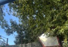 Die Berliner Renate: Line-up für die letzte Party bekanntgegeben Renate (Foto: Charlotte Elsen)