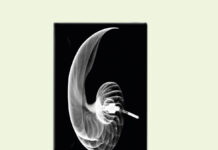 November 2023: Album des Monats