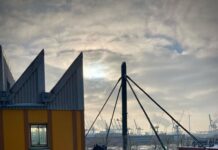 Barboncino Zwölphi: Café im Golden Pudel schließt Barboncino Zwölphchen Pudel Instagram