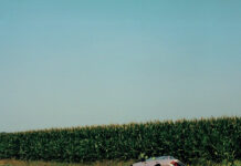 Album des Monats: März 2024