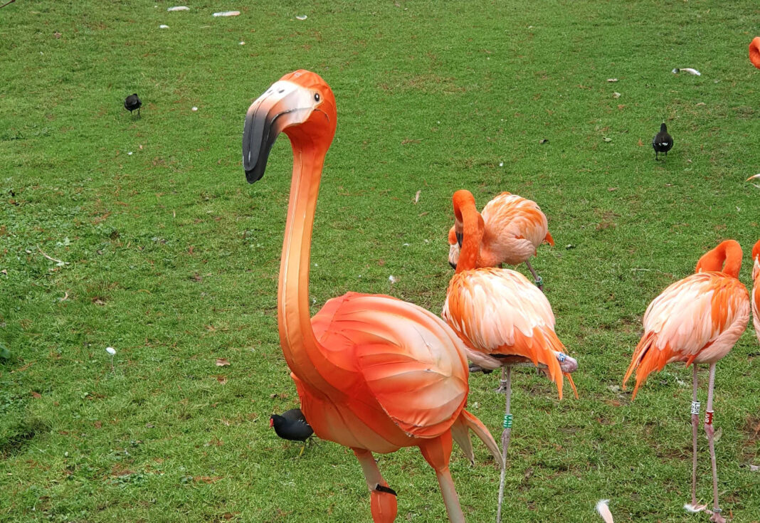 Motherboard Header Januar 2025 by Frank Eckert