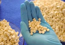 Designerdrogen: Niederlande verbieten Produktion und Handel