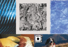 Februar 2025: Die essenziellen Alben (Teil 3)