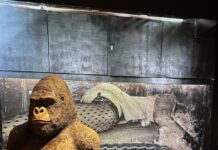 „TECHNO” im Landesmuseum Zürich: Von einer magischen Nacht im Tresor zum transnationalen Miteinander