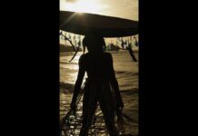 Drexciya: US-Präsident Trump kritisiert Ausstellung Ausschnitt aus „Take me to the Water: Baptism by Waters both Salty and Sweet” aus der Drexciya-Ausstellung (Foto: National Museum of African Art)