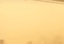 Burning Man: Mehrere Unwetterwarnungen am ersten Festival-Wochenende Das Burning Man 2025 im Zeichen des Sandsturms (Foto: TikTok / earth_wanders)