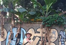 Acid Pauli: Neues Label und Reissue von „Den Mahlstrom rauf” angekündigt Acid Pauli (Foto: Presse)