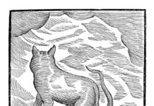 September 2025: Album des Monats