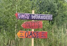 Das Mahagoni in Sachsen-Anhalt: Eine Mischung aus einem Psilocybin-Trip und Mad Max