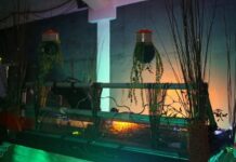 Krannok: Neues Club-Konzept in Berlin gestartet Der Dancefloor im Krannok (Foto: Rachel McCollum / IG: Rogbivy)