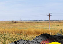 „Ukrainian Field Notes”: Neues Buch zur Szene im ukrainischen Kriegsgebiet angekündigt Ukrainian Field Notes: Sound, Music & Voices From Ukraine After The Full-Scale Invasion (Foto: Velocity Press)