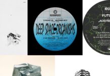 Die Platten der Woche mit Amotik, Deep Space Organisms, Henry Greenleaf, Ness & Rude Futures