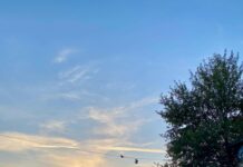 Berlin: Clubs kämpfen um Fortbestehen auf RAW-Gelände Das RAW-Gelände im Berliner Bezirk Friedrichshain (Foto: Instagram/ berlin_bestplace)