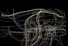 Februar 2026: Album des Monats Soreab CU