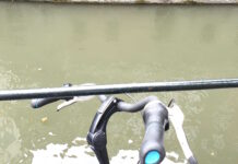 Motherboard: März 2026 Foto: Frank P. Eckert