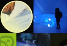 Die Platten der Woche mit DJ Plant Texture, Nice Girl, Rene Wise, Tristan Arp und TSVI