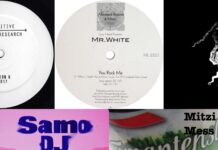 Die Platten der Woche mit Larry Heard, Mitzi Mess, Samo DJ, Section 6 und Sully