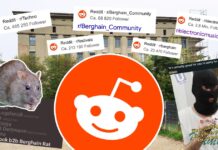 Reddit: Wo die Clubkultur zur Kommentarspalte wird