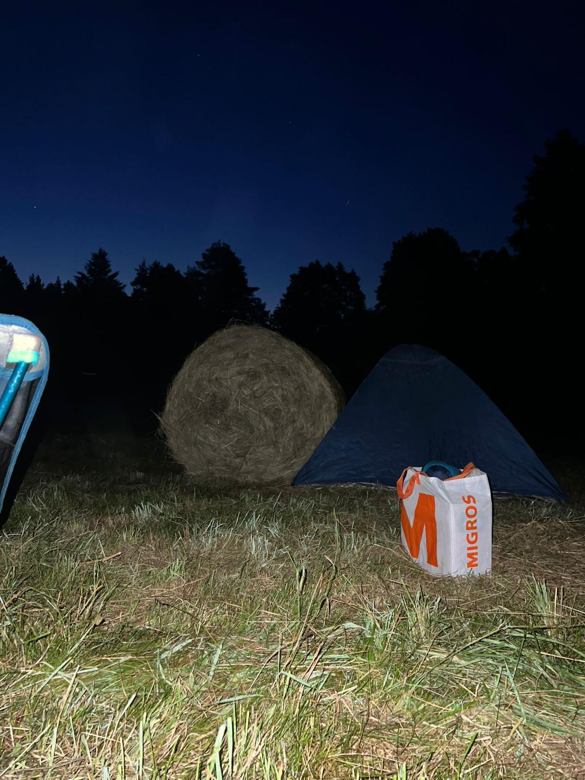 Den Erfahrungsbericht begleiten Fotos aus dem Archiv unseres Autoren. Sie stammen natürlich nicht von dem Festival, von dem im Text die Rede ist. (Sämtliche Fotos: Viktor Meier)