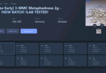 Schlag gegen Darknet-Drogen: Anklage gegen mutmaßlichen Betreiber von „Archetyp Market” erhoben