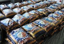 Hamburger Hafen: Zoll stellt 1,5 Tonnen Crystal Meth sicher