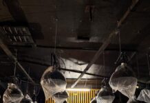 Aus FADE wird CONNY: Club in Münster richtet sich neu aus Umbau der Tanzfläche im Conny (Foto: Docklands GmbH)