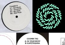 Unsere Platten der Woche mit Barnt, Cosmin TRG, FJAAK, Ricardo Villalobos und Sciahri