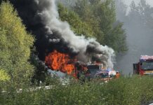 Beliebter „Technobus MV“ nach Brand komplett zerstört: Spendenaufruf soll Projekt retten