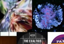 Die Platten der Woche mit Joseph, Ma Sha, Roman Flügel, Ricardo Villalobos und The Exaltics